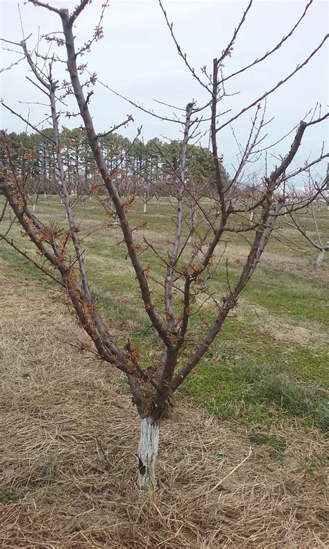 It is a large institution with an enrollment of 17,393 undergraduate students. What's happening in the field?