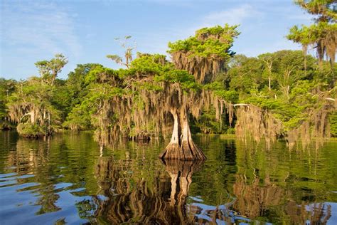 15 Best Lakes In Florida Planetware