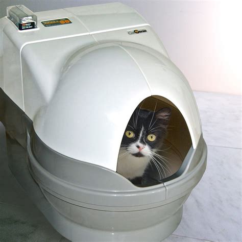 Catgenie Self Cleaning Cat Litter Box Reviewed Cat Concerns