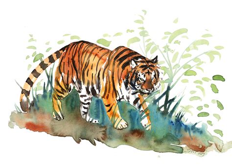 Tigress Me Watercolor R Art