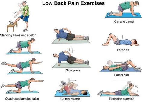 Low Back Strength And Flexibility Exercises To Do At Home Or Work