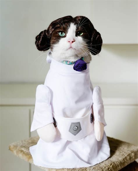 Princess Leia Walking Cat Costume Pet Costume Center