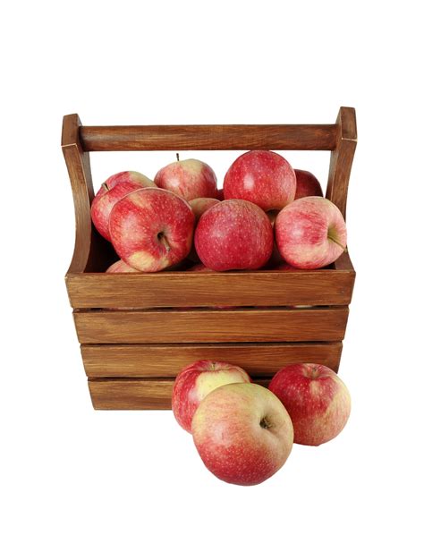 Isolated Apples Fruit Free Photo On Pixabay Pixabay