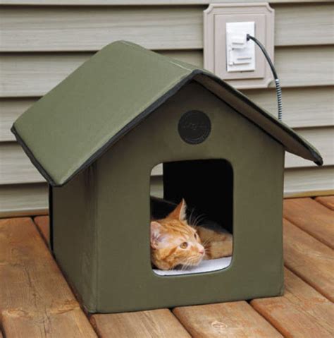 How You Can Build A Stray Cat Shelter For These Freezing Nights