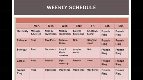 Free strength workout schedule template. Sample Weekly Workout Plan
