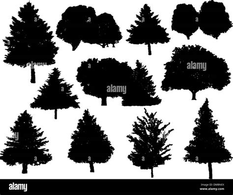 Tree Silhouettes Collection Set Stock Vector Image And Art Alamy