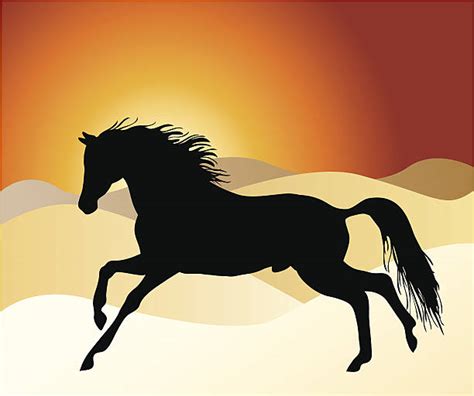 Arabian Horses Running Silhouette Illustrations Royalty Free Vector