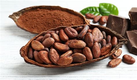 Cacao Beans Health Benefits And Ways To Use Healthy Blog