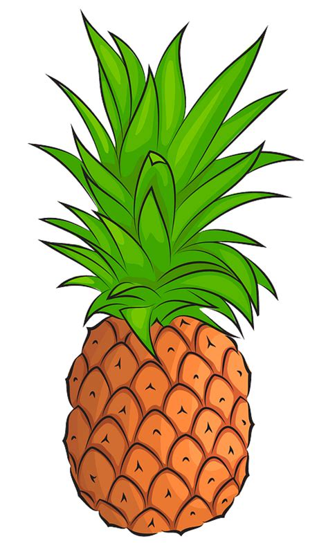 Pineapple Clipart Free Download Transparent Png Creazilla