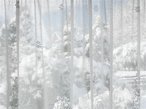 Snow Through The Window Smithsonian Photo Contest Smithsonian Magazine