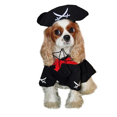 Caribbean Pirate Dog Costume Baxterboo
