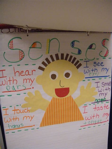 Senses Poster With Interactive Writing Senses Preschool Kindergarten