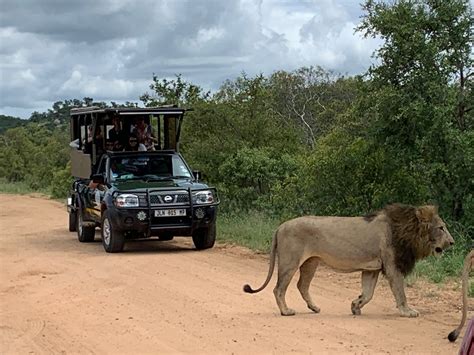 African Safari Adventures Visit Hazyview