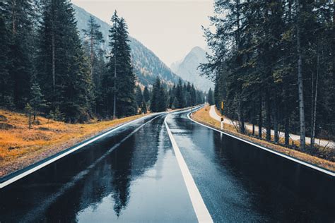 Road In The Autumn Forest In Rain Perfect Asphalt Mountain Road In