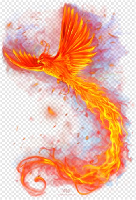 When one thinks of the dark phoenix, one usually thinks of the flaming bird. Fire - Fire Phoenix Png, HD Png Download - 313x470 ...