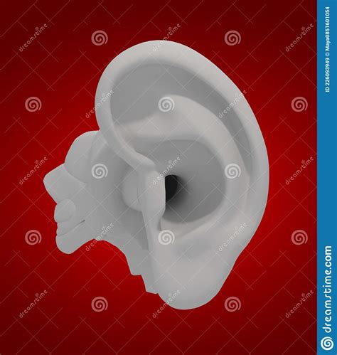 3d Rendering Illustration Of Ear Stock Illustration Illustration Of
