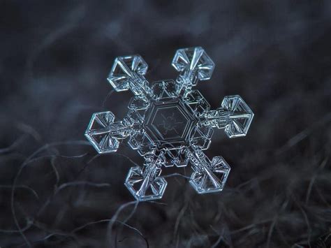 Alexey Kljatov Photographs Stunning Close Ups Of Snowflakes ~ Today
