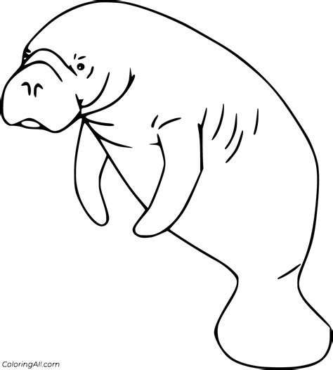 Manatee Coloring Pages 26 Free Printables Coloringall