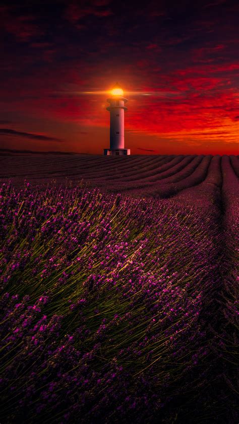 Sunset Wallpaper 4k Lavender Fields Lighthouse