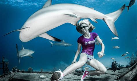 Divers Swim With SHARKS In Nothing But Bikinis And T Shirts Nature