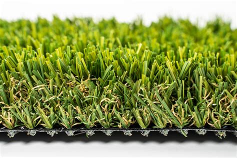Southern Fescue Wintergreen Synthetic Grass