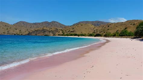 Komodo Island Pink Beach