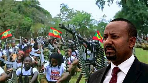 Oduu Afaan Oromo Hatattaaman Amma Nu Gahe November 302023 Youtube