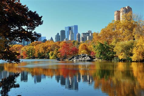 One of central park new york's lesser known treasures , the wagner cove is located at the far edge of the lake with a rustic shelter and 2 wooden benches. 5 Ways to Celebrate Oktoberfest in New York City | Midtown ...