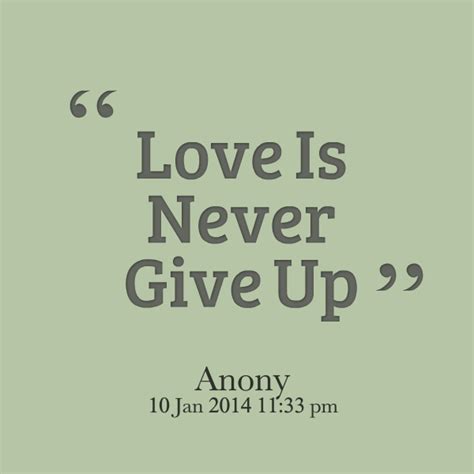 Love is not running or giving up, it's standing and fighting for every moment. 3. Never Give Up On Love Quotes. QuotesGram