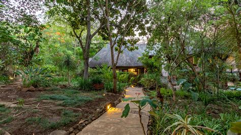 Blue Jay Lodge In Hazyview Best Getaways South Africas Best Weekend Getaways