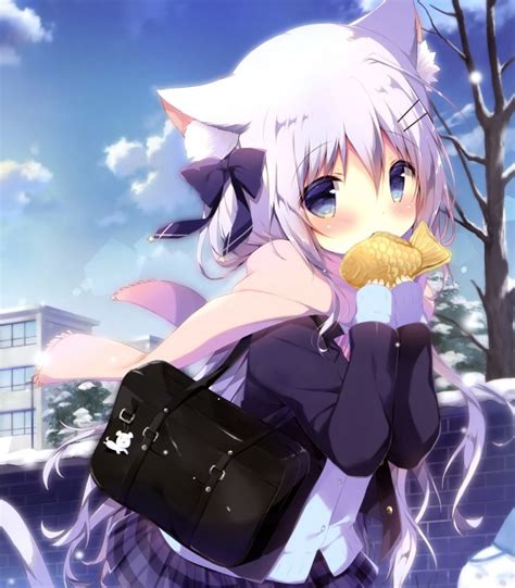 Often anime girls don't have purely white hair. Wallpaper Anime Girl, Loli, Animal Ears, White Hair, Scarf ...