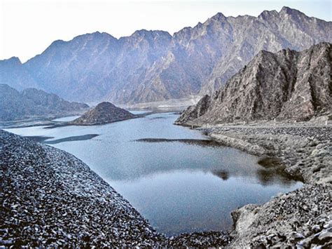 6 Natural Reserves Planned For Dubai Environment Gulf News