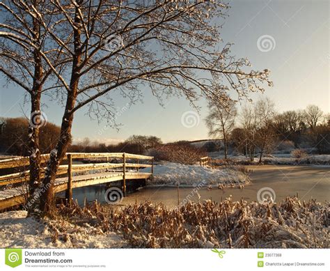 Winter Snow Scene On Lake Welsh Countryside Royalty Free