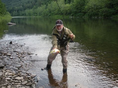 Four Seasons Fly Fishing Guide Service Fish This Pa