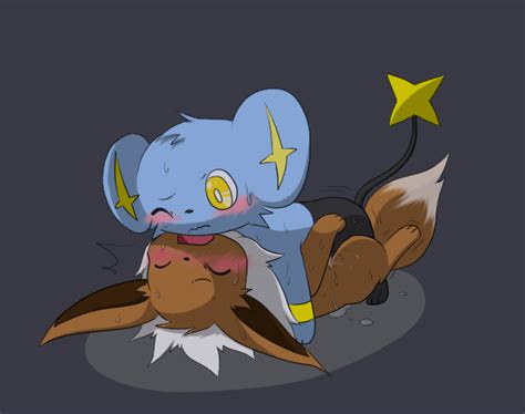 955968 Eevee Porkyman Shinx Pokémon Furry Collection