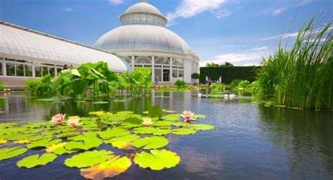 Experience the new york botanical garden, new york's iconic living museum, educational institution, and cultural attraction. New York Botanical Garden Review | Fodor's Travel