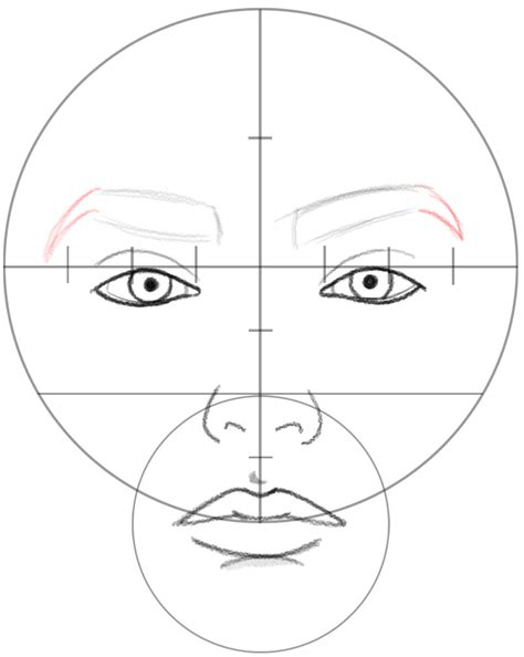 How To Draw A Face In Basic Proportions Drawing Beaut