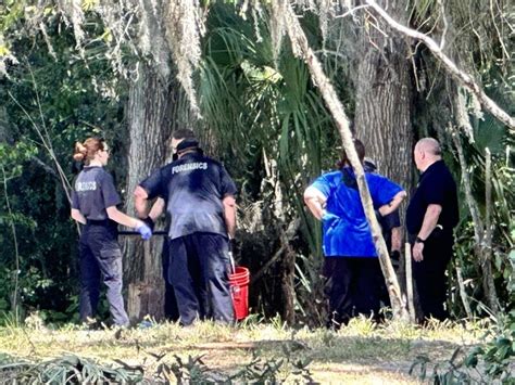 Gainesville Police Department Investigating Human Remains