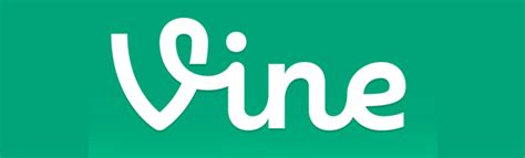 Vine App The Ultimate Guide To More Likes And Followers Social Media