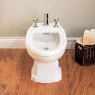 What Are Bidets And Bidet Toilet Seats Brondell Inc Brondell
