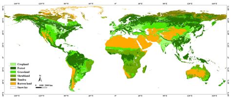 Essd Assets Annual Dynamics Of Global Land Cover And Its Long Term