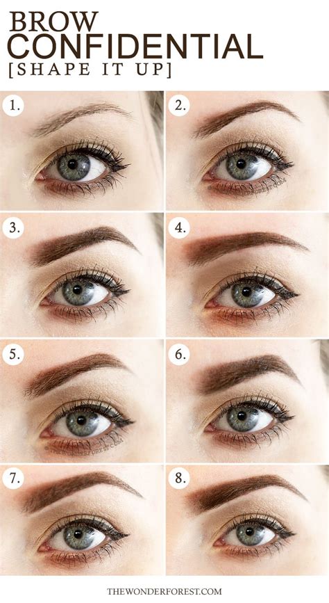 Brow Confidential 8 Different Eyebrow Shapes Wonder Forest