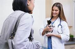 Petco Vaccine Price Surprise Youll Never Guess How Affordable It Is