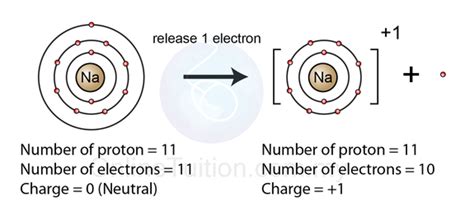 I'm trying to create a splitlist function that takes an option as input and returns either positive or negative elements of the list. Ion Charge - The Periodic Table
