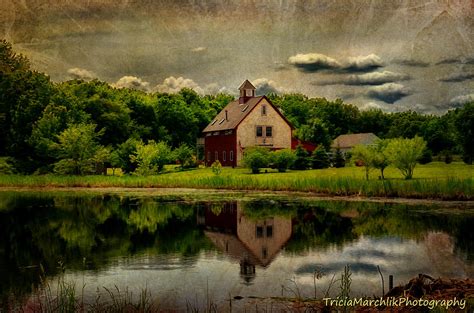 Welcoming Summer Photograph By Tricia Marchlik Fine Art America