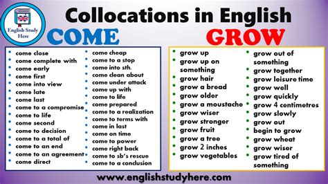 Verb Collocations Catch Have Do Make English Study Here