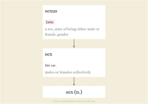 Gender Is Binary Sex Is A Verb Page 7 Forum
