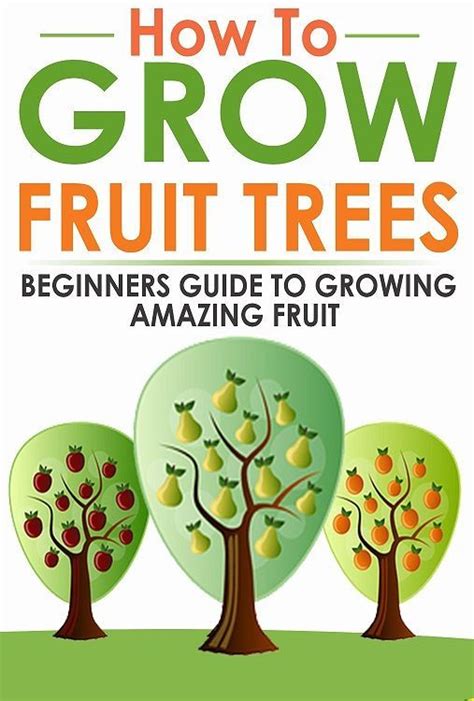 How To Grow Fruit Trees Beginners Guide To Growing Amazing Fruit