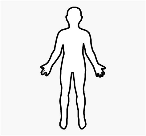 Human Body Outline Drawing Sketch