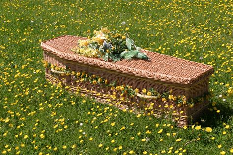 The Somerset Willow Coffin Funeral Coffins Ford Mears